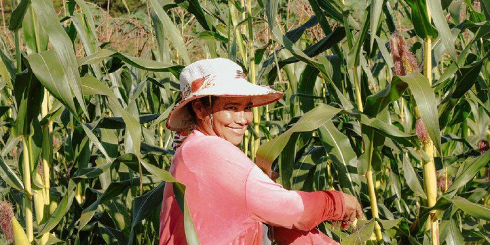 Agricultoras-d24am (1)