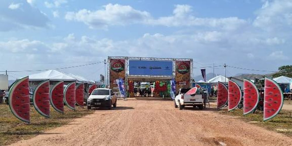 festadamelancia2